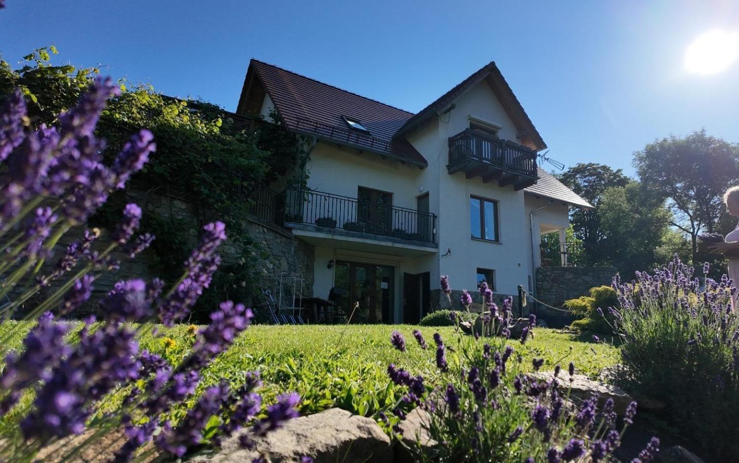 Strefa Ciszy -Lawenda Apartment Swieradow-Zdroj Exterior photo